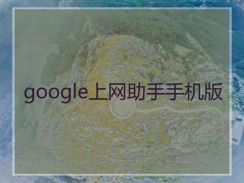 google上网助手手机版