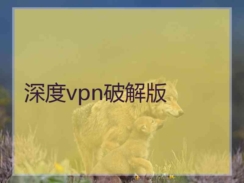 深度vpn破解版