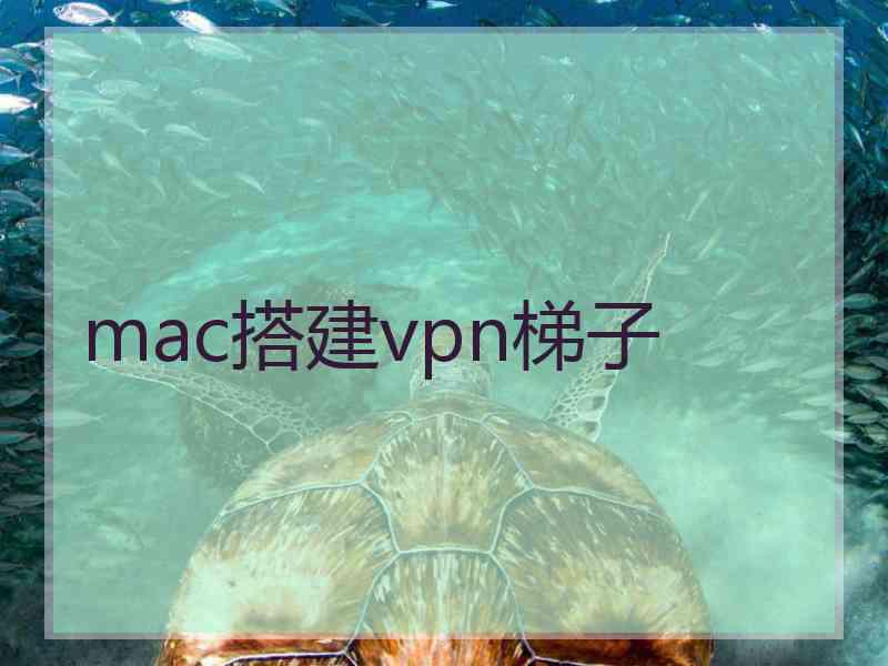 mac搭建vpn梯子