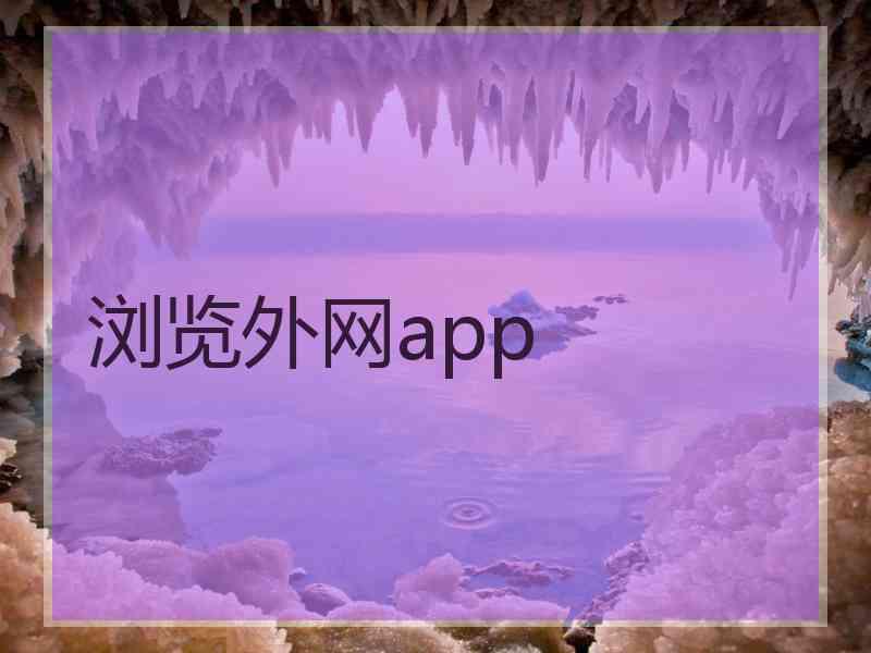 浏览外网app