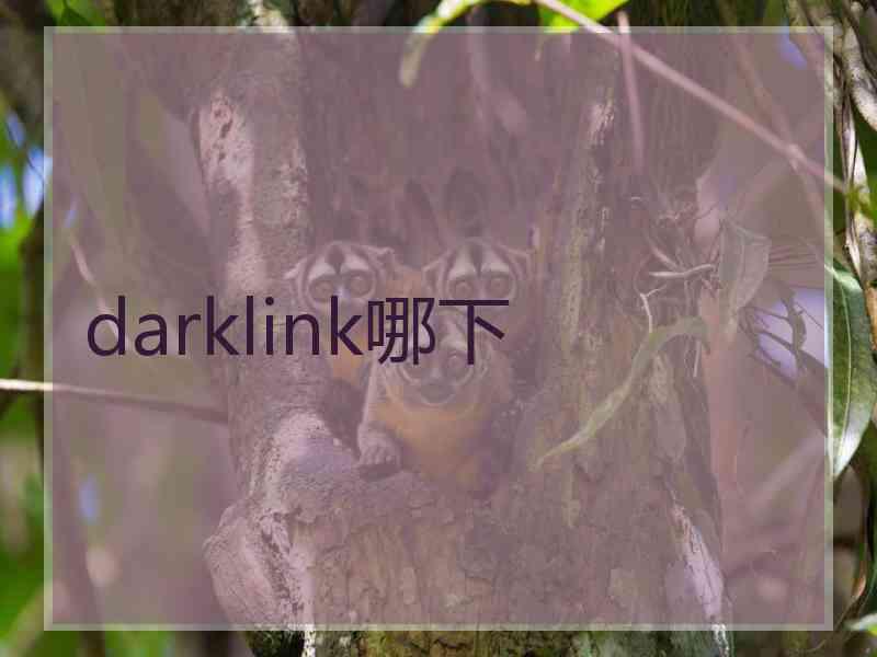 darklink哪下