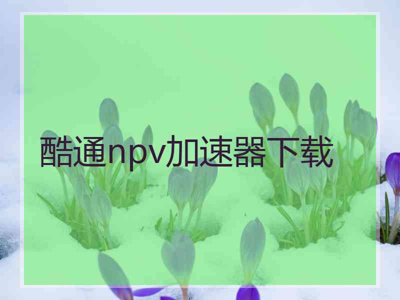 酷通npv加速器下载