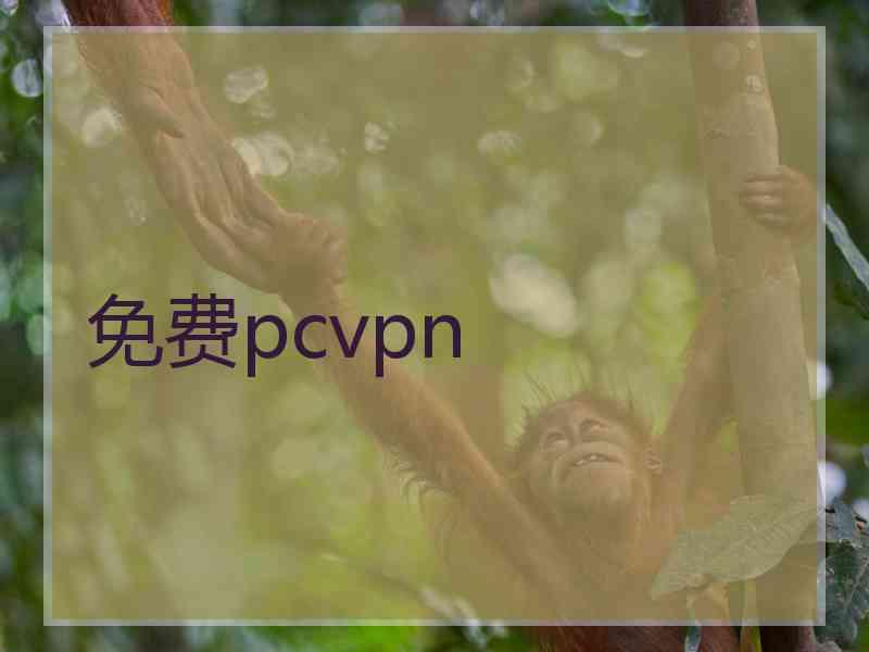 免费pcvpn