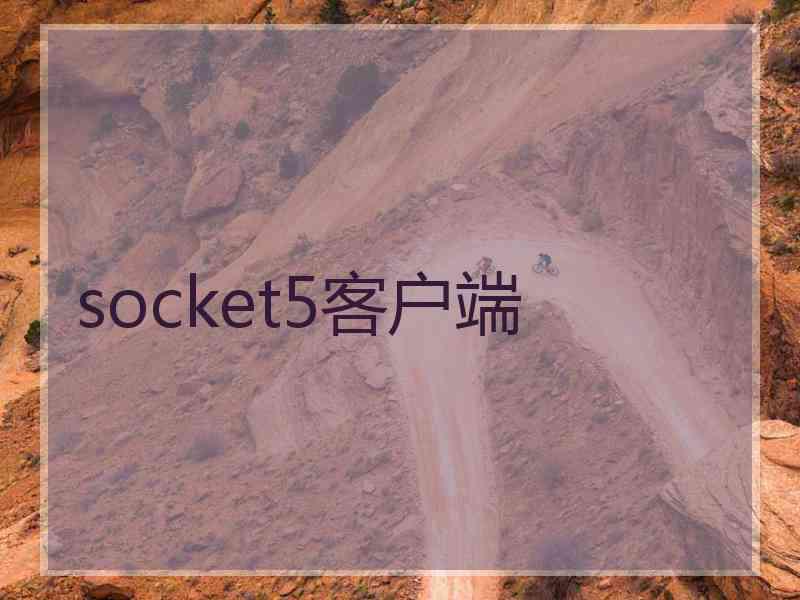 socket5客户端