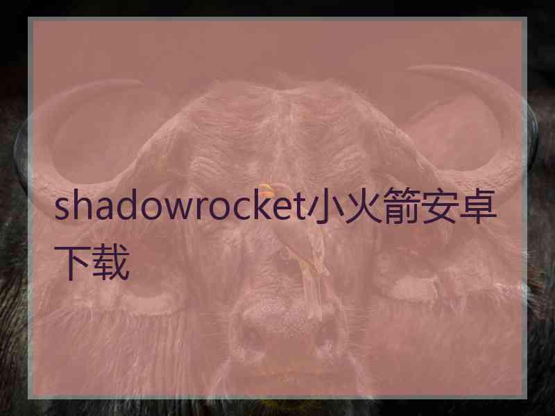 shadowrocket小火箭安卓下载