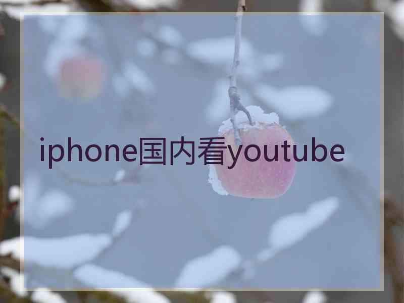 iphone国内看youtube