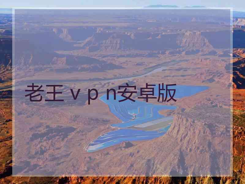 老王 v p n安卓版