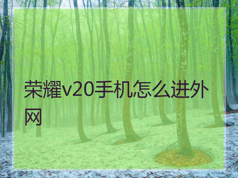 荣耀v20手机怎么进外网