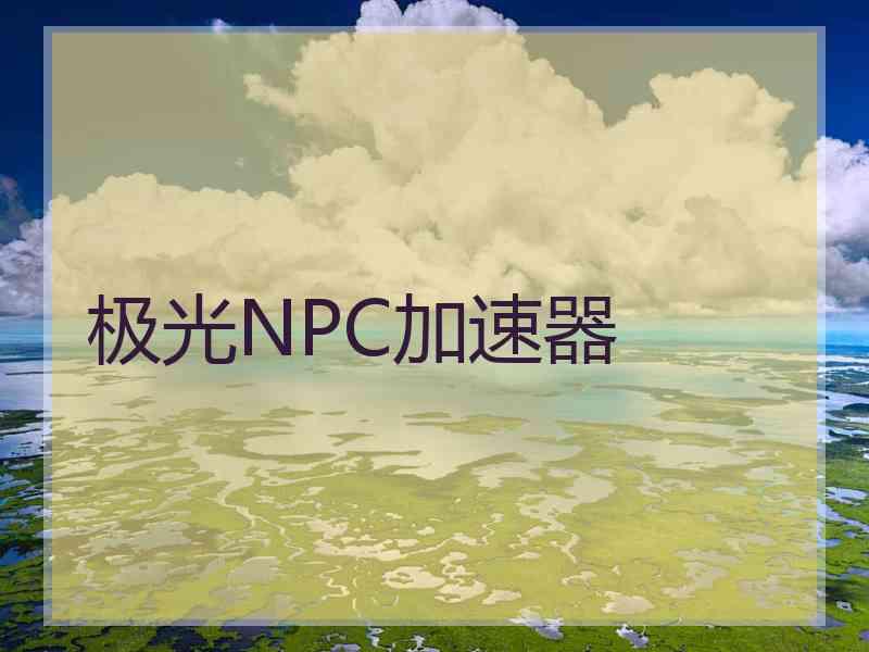 极光NPC加速器