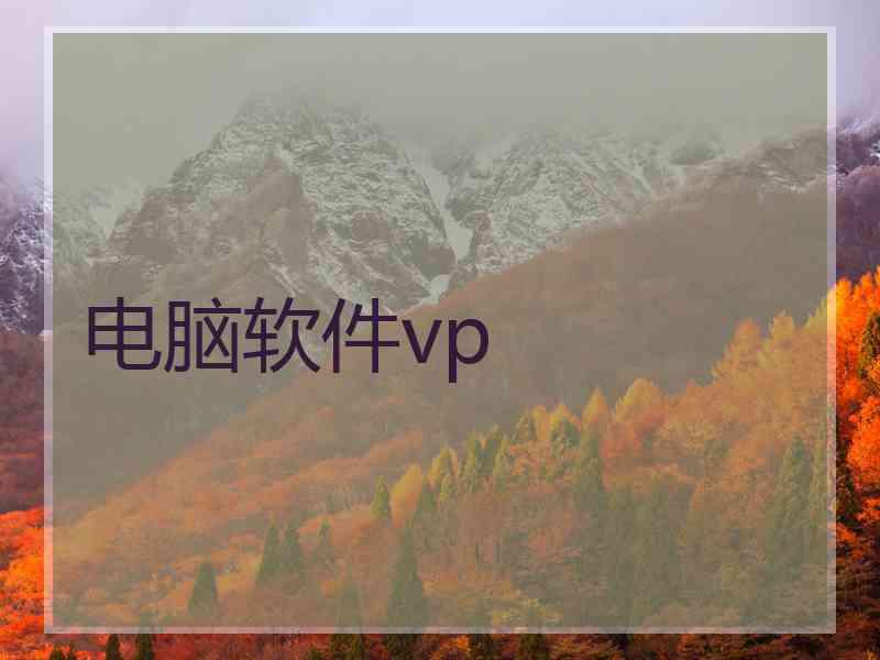 电脑软件vp