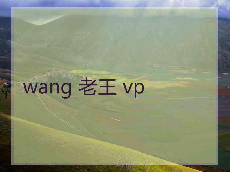 wang 老王 vp