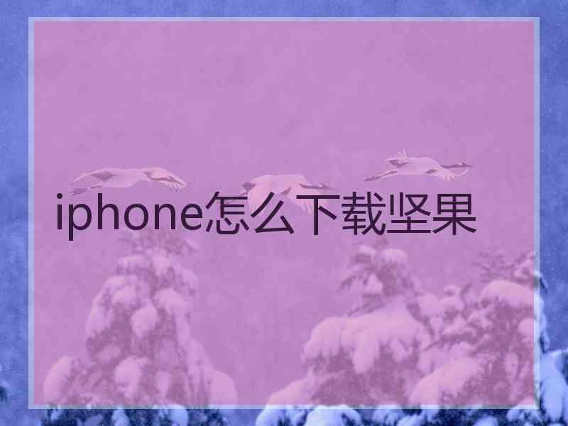 iphone怎么下载坚果