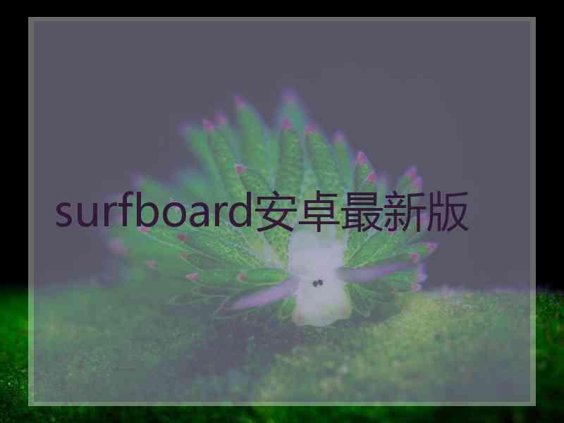 surfboard安卓最新版