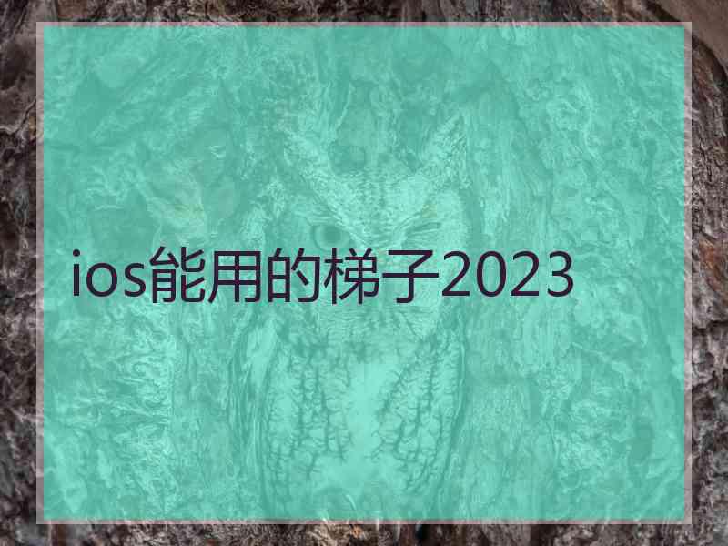 ios能用的梯子2023