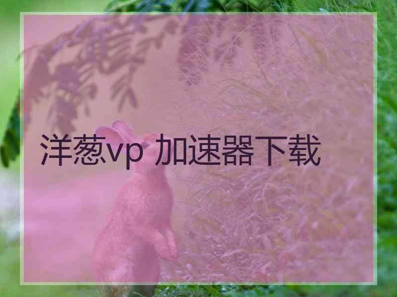 洋葱vp 加速器下载