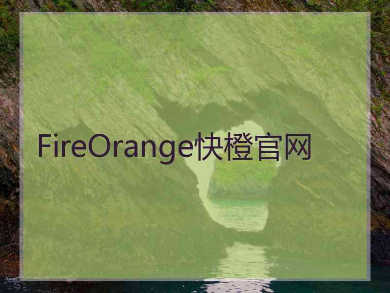 FireOrange快橙官网