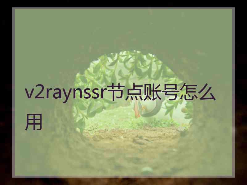 v2raynssr节点账号怎么用