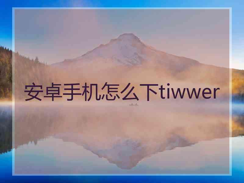 安卓手机怎么下tiwwer