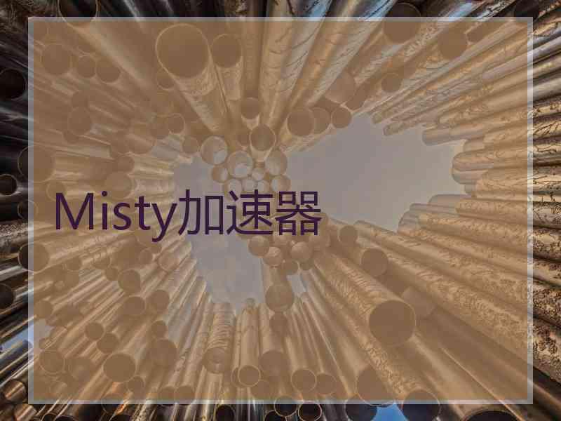 Misty加速器