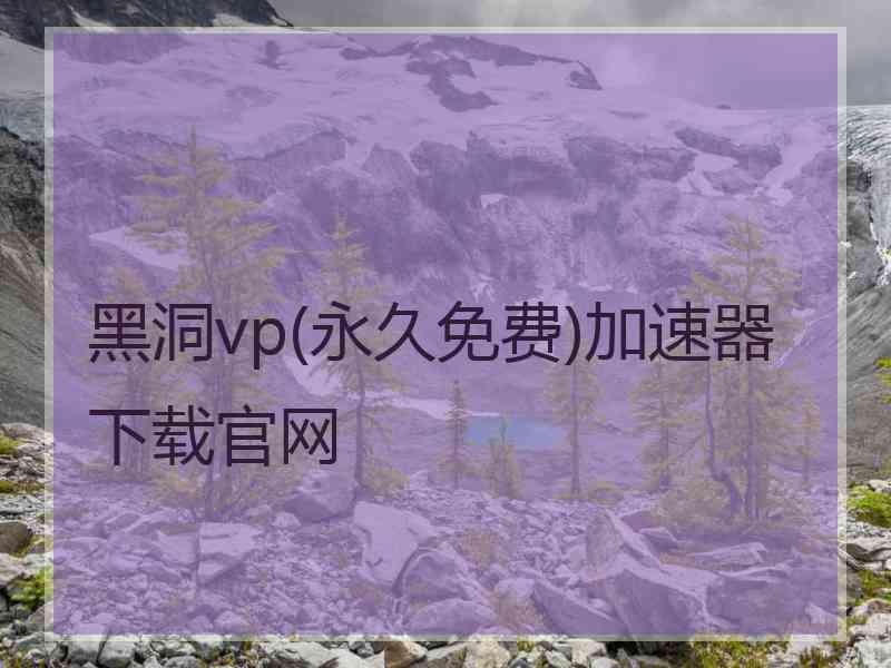 黑洞vp(永久免费)加速器下载官网