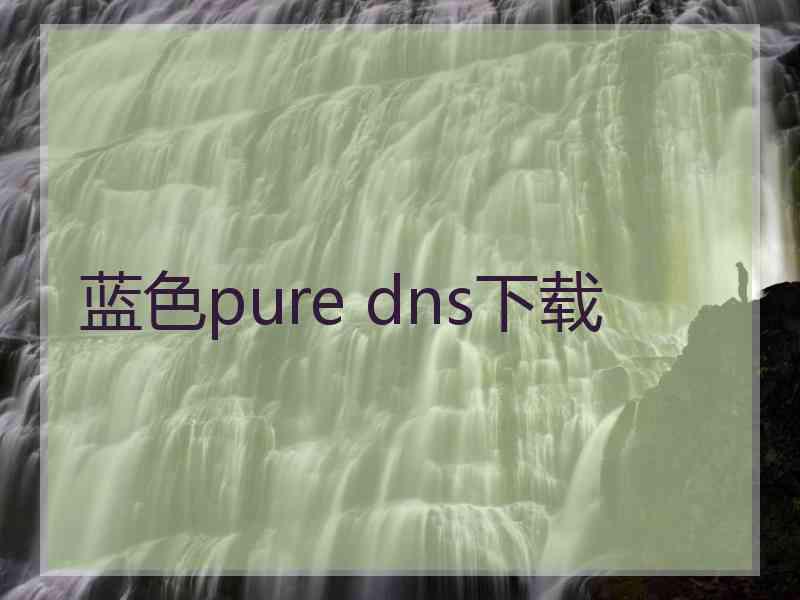 蓝色pure dns下载