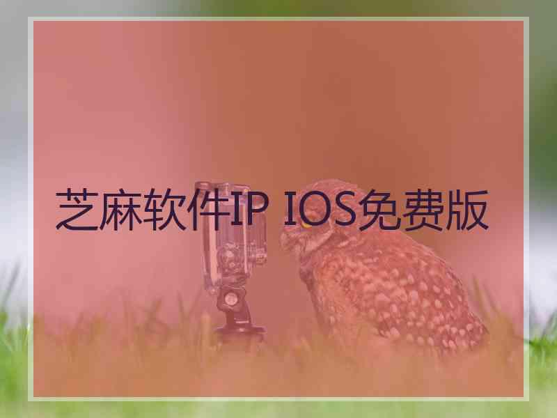 芝麻软件IP IOS免费版