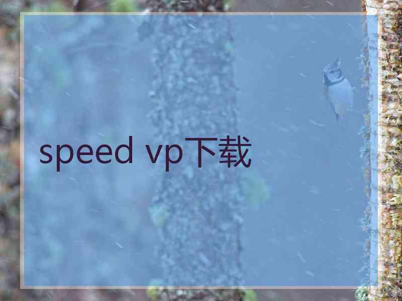 speed vp下载