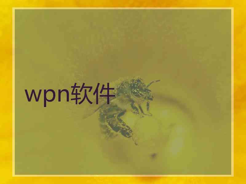 wpn软件