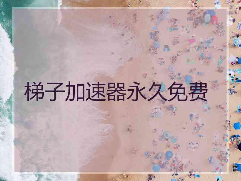 梯子加速器永久免费