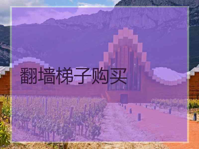 翻墙梯子购买