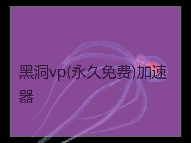 黑洞vp(永久免费)加速器