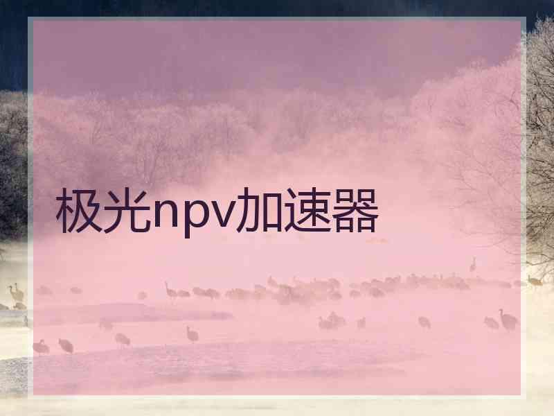 极光npv加速器